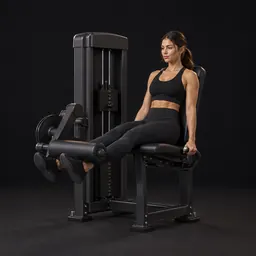 Leg Extension