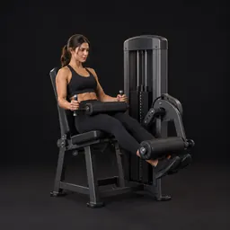 Seated Leg Curl